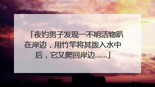 夜钓男子发现一不明活物趴在岸边，用竹竿将其拨入水中后，它又爬回岸边……