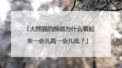 大熊猫的颜值为什么看起来一会儿高一会儿低？