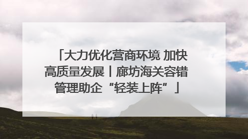 大力优化营商环境 加快高质量发展丨廊坊海关容错管理助企“轻装上阵”