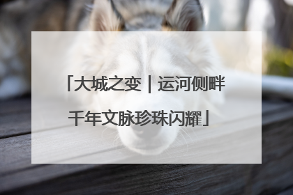 大城之变｜运河侧畔 千年文脉珍珠闪耀