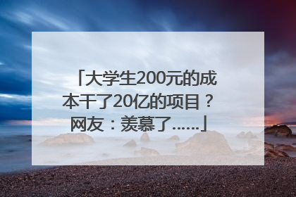 大学生200元的成本干了20亿的项目？网友：羡慕了……