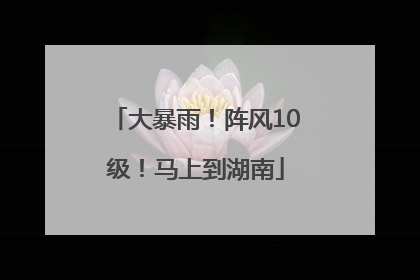 大暴雨！阵风10级！马上到湖南