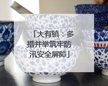 大有镇：多措并举筑牢防汛安全屏障