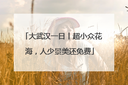 大武汉一日丨超小众花海，人少景美还免费