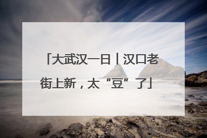 大武汉一日︱汉口老街上新，太“豆”了