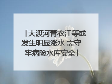 大渡河青衣江等或发生明显涨水 需守牢病险水库安全