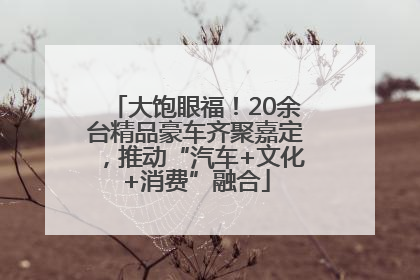 大饱眼福！20余台精品豪车齐聚嘉定，推动“汽车+文化+消费”融合