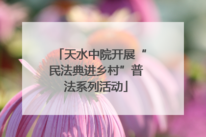 天水中院开展“民法典进乡村”普法系列活动