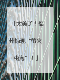 太美了！福州惊现“萤火虫海”！