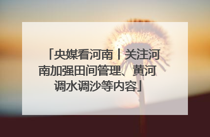 央媒看河南丨关注河南加强田间管理、黄河调水调沙等内容