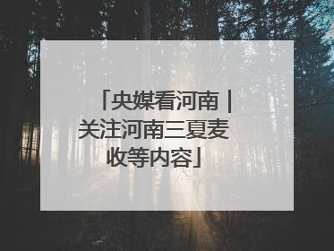 央媒看河南｜关注河南三夏麦收等内容