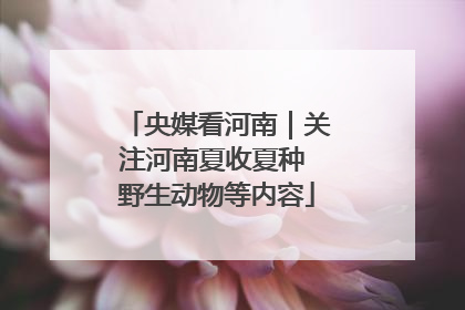 央媒看河南｜关注河南夏收夏种 野生动物等内容