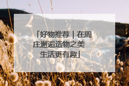 好物推荐｜在周庄邂逅造物之美 生活更有趣