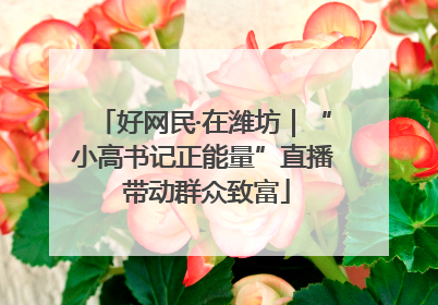 好网民·在潍坊｜“小高书记正能量”直播 带动群众致富