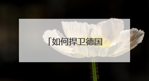 如何捍卫德国利益 默茨访美很“烧脑”