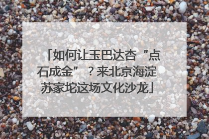 如何让玉巴达杏“点石成金”？来北京海淀苏家坨这场文化沙龙