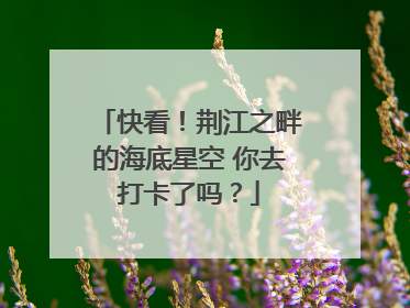 快看！荆江之畔的海底星空 你去打卡了吗？