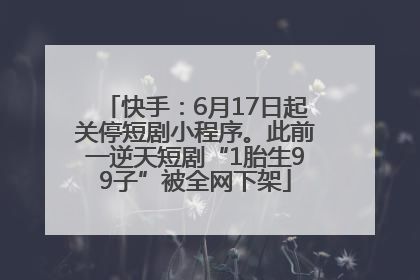 快手：6月17日起关停短剧小程序。此前一逆天短剧“1胎生99子”被全网下架