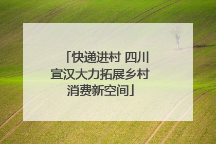 快递进村 四川宣汉大力拓展乡村消费新空间