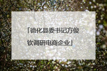 德化县委书记方俊钦调研电商企业