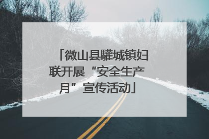 微山县驩城镇妇联开展“安全生产月”宣传活动