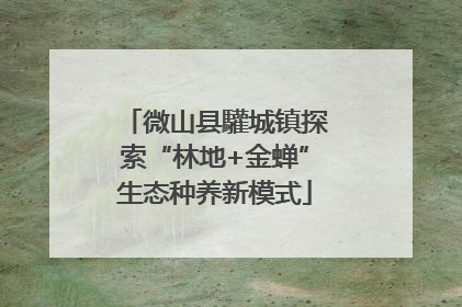 微山县驩城镇探索“林地+金蝉”生态种养新模式