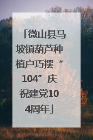 微山县马坡镇葫芦种植户巧摆“104”庆祝建党104周年
