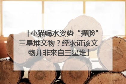 小猫喝水姿势“撞脸”三星堆文物？经求证该文物并非来自三星堆