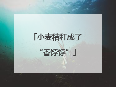 小麦秸秆成了“香饽饽”