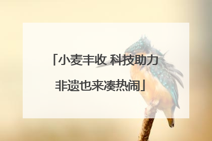 小麦丰收 科技助力 非遗也来凑热闹