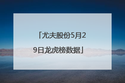 尤夫股份5月29日龙虎榜数据