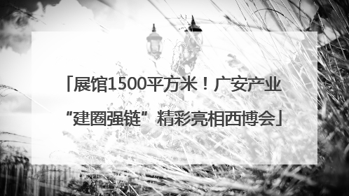 展馆1500平方米！广安产业“建圈强链”精彩亮相西博会