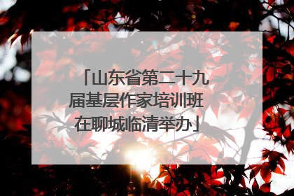 山东省第二十九届基层作家培训班在聊城临清举办