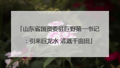 山东省国资委驻巨野第一书记：引来巨龙水 灌溉千亩田