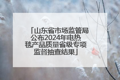 山东省市场监管局公布2024年电热毯产品质量省级专项监督抽查结果