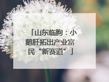 山东临朐：小鹅肝拓出产业富民“新赛道”