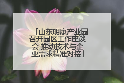 山东明康产业园召开园区工作座谈会 推动技术与企业需求精准对接