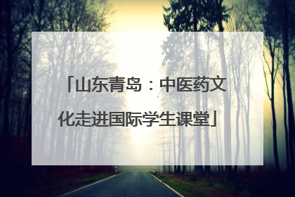 山东青岛：中医药文化走进国际学生课堂