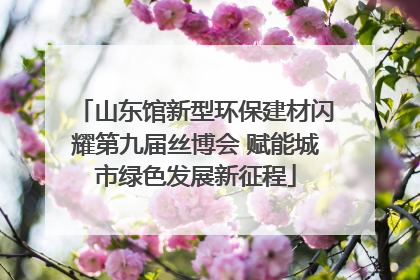 山东馆新型环保建材闪耀第九届丝博会 赋能城市绿色发展新征程