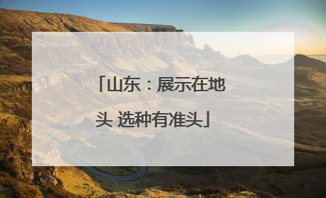 山东：展示在地头 选种有准头