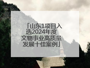 山东1项目入选2024年度文物事业高质量发展十佳案例