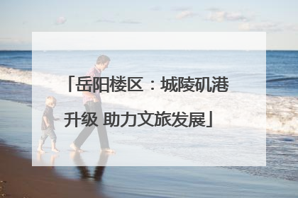 岳阳楼区：城陵矶港升级 助力文旅发展