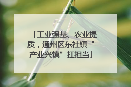 工业强基、农业提质，通州区东社镇“产业兴镇”扛担当