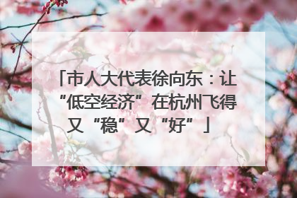 市人大代表徐向东：让“低空经济”在杭州飞得又“稳”又“好”