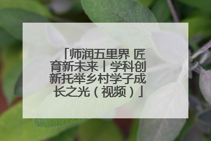 师润五里界 匠育新未来丨学科创新托举乡村学子成长之光（视频）