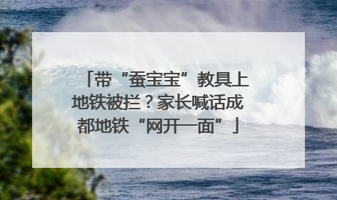 带“蚕宝宝”教具上地铁被拦？家长喊话成都地铁“网开一面”