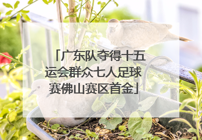 广东队夺得十五运会群众七人足球赛佛山赛区首金