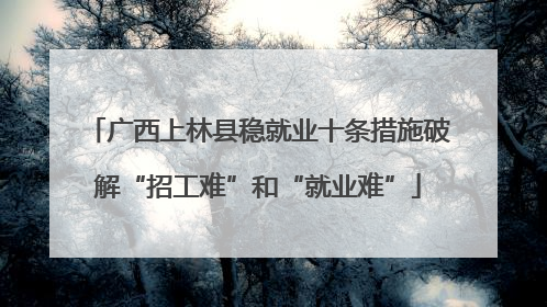 广西上林县稳就业十条措施破解“招工难”和“就业难”