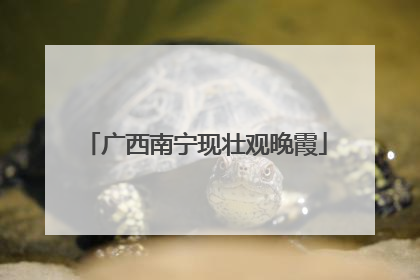 广西南宁现壮观晚霞