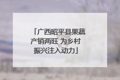 广西昭平县果蔬产销两旺 为乡村振兴注入动力